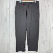 【Unisex L グレー系】 Shinogi By Axesquin ( 凌 By アクシーズクイン ) アヲネロ トレッキング パンツ Aonero Trekking Pants 墨黒 ナイロン ウェア ボトムス ロングパンツ z00057274 墨黒 ロン
