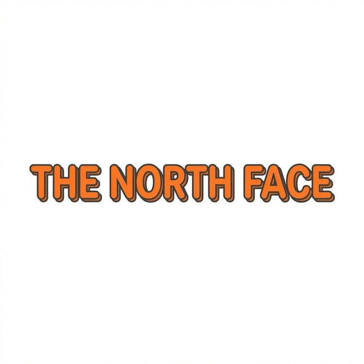 The North Face ( ザ・ノースフェイス )