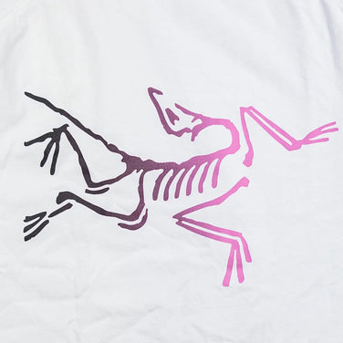 Arcteryx 男式 Crag 棉质标志短袖 T 恤（白色 Light/Soul）- 小码（白色）- 棉质，短袖圆领，合成面料（z00053081）