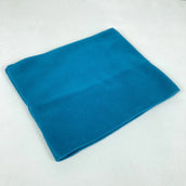 【OneSize ブルー系】 2013 Patagonia ( パタゴニア ) マイクロD ゲイター Micro-D Gaiter TDT 希少カラー 入手困難 フリース ウェア ウェア小物 ネックウェア ネックゲイター ネックウォーマー z00054232 TD