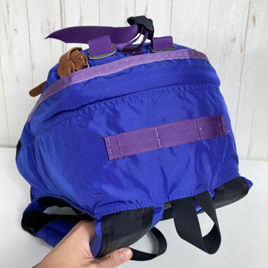 【OneSize ブルー系】 Gregory ( グレゴリー ) デイパック ブルー レター Day Pack Blue Letter 復刻モデル 青タグ 旧タグ 生産終了モデル 入手困難 40周年記念モデル ナイロン バッグ ストレージ バックパック デイパック