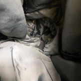 【Type 2 グリーン系】 Karrimor ( カリマー ) リッジ 40 Ridge 40 ナイロン バッグ ストレージ バックパック 容量【30L～54L】 z00050916 容量【30L～54L】 バックパック バッグ ストレージ - 【公式】2ndGEAR（セカンドギア）Webショップ【登山用品・アウトドア用品専門 買取販売店】