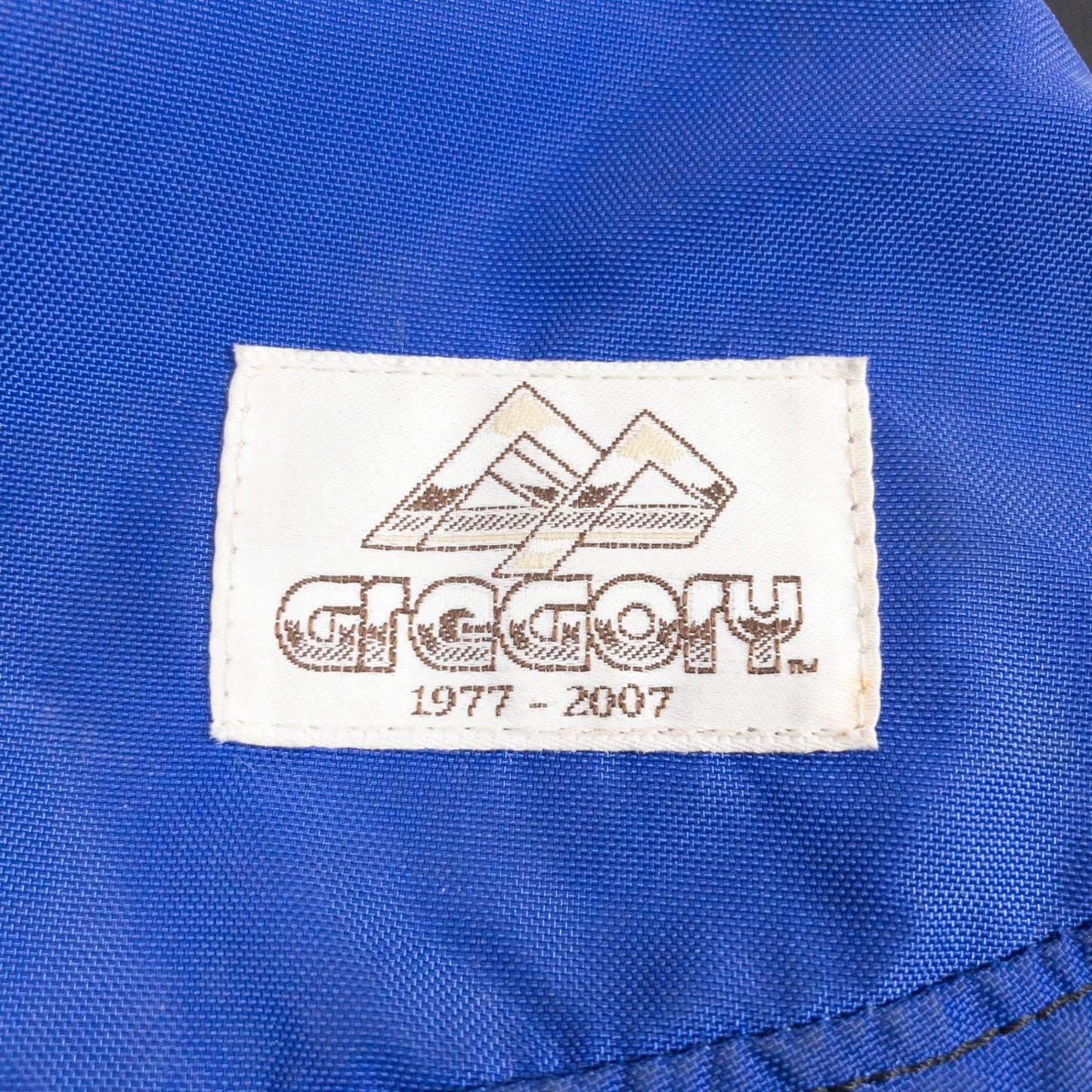 [OneSize Navy] Gregory Tailrunner 停产型号很难找到棕色标签 30 周年纪念腰包臀包包收纳