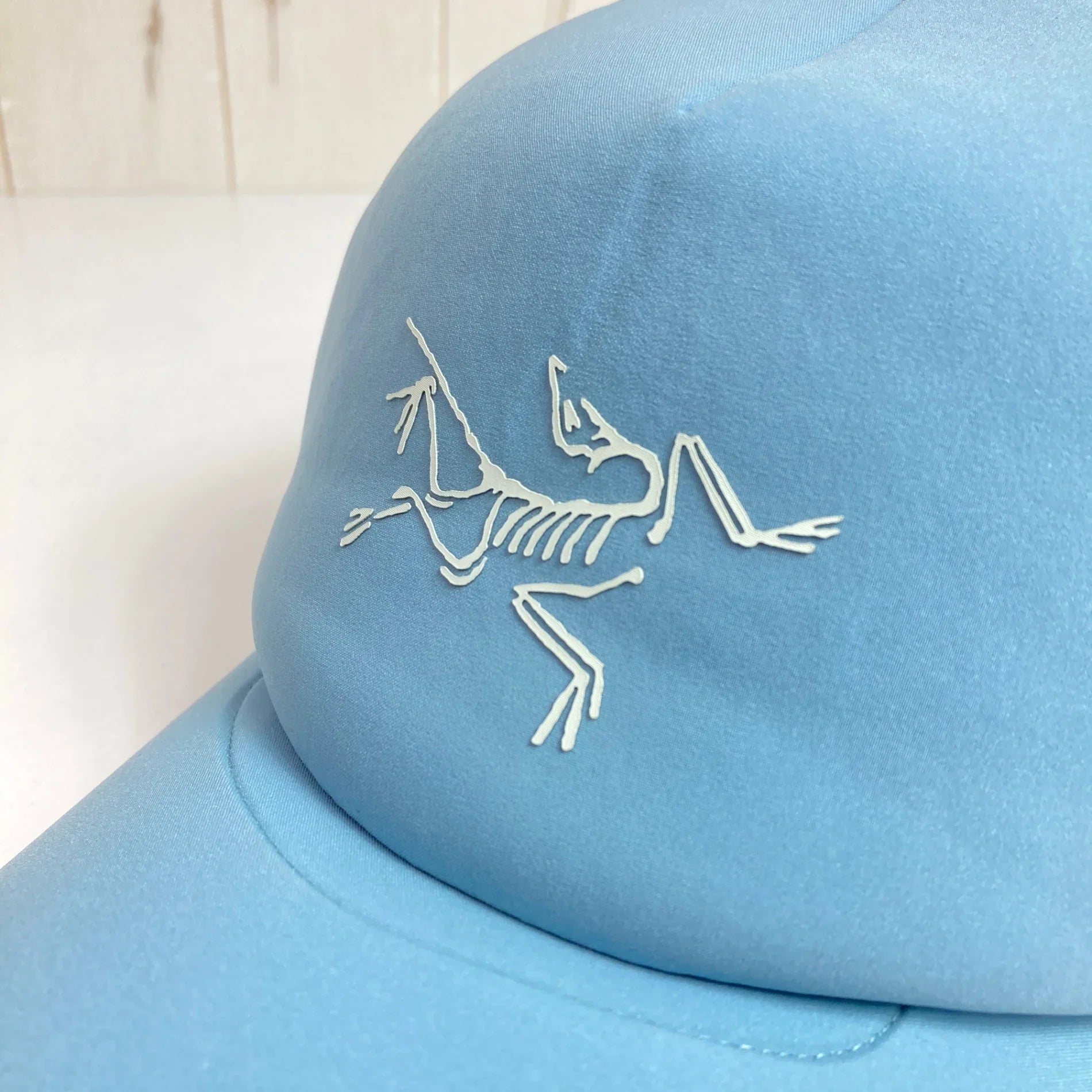 OneSize ブルー系】 Arcteryx ( アークテリクス ) バード トラッカー