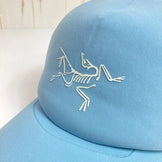 Arcteryx Bird Tracker 弧形帽（均码，蓝色） - 难以找到 - 服装、配饰、头饰、帽子 (z00053151)