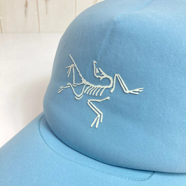 Arcteryx Bird Tracker 弧形帽（均码，蓝色） - 难以找到 - 服装、配饰、头饰、帽子 (z00053151)