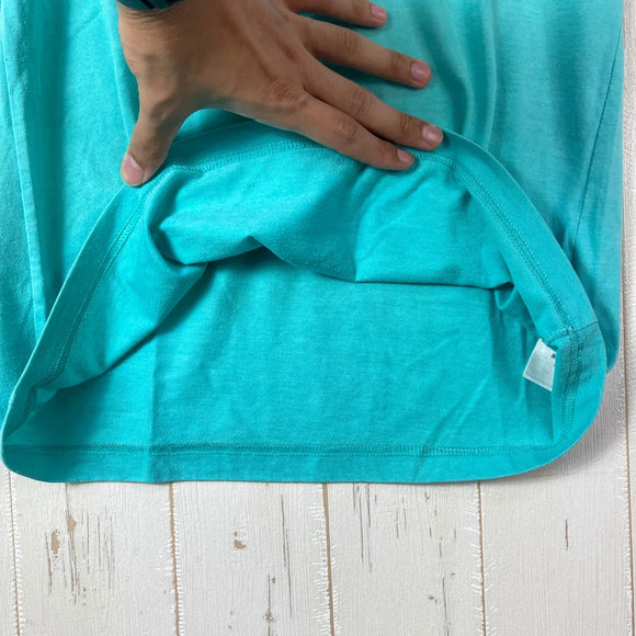 【Men's S ブルー系】 2016 Patagonia ( パタゴニア ) フィッシュ アンド フライ オーガニック コットン ティーシャツ Fish And Fly Organic Cotton T Shirt WHLT オーガニックコットン ウェア トップ