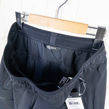 Arcteryx Gamma 男款慢跑裤，30码，黑色。这款尼龙软壳裤非常适合日常穿着。产品编号：z00053084。