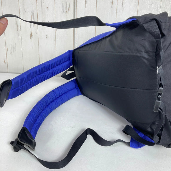 【OneSize ブルー系】 Gregory ( グレゴリー ) デイパック ブルー レター Day Pack Blue Letter 復刻モデル 青タグ 旧タグ 生産終了モデル 入手困難 40周年記念モデル ナイロン バッグ ストレージ バックパック デイパック