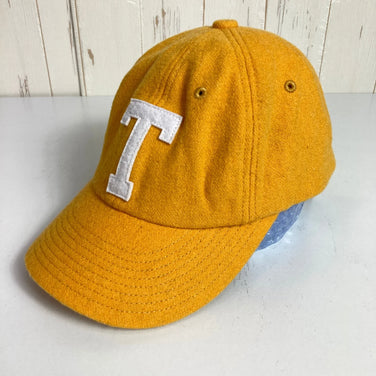 The North Face TNF Logo Flannel Cap (SG/Summit Gold) in Orange (One Size) - Wool, Apparel, Accessories, Headwear, Cap (z0005)