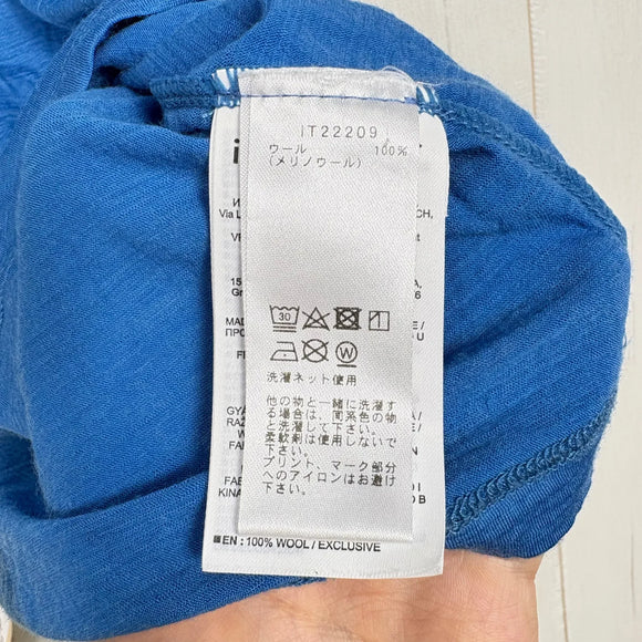 【Men's S ブルー系】 Icebreaker ( アイスブレーカー ) メンズ テックライト 2 ショートスリーブ ティー サウスアルプ M TECH LITE II SS TEE SOUTH ALP メリノウール ウェア トップス インナー シャツ ショー