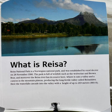 【OneSize ベージュ系】 Nordisk ( ノルディスク ) レイサ 4 Japan Reisa 4 Japan 84065300 Beige z00056913 Beige キャンピングテント テント キャンピングギア