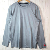 【Men's M グレー系】 2017 Patagonia ( パタゴニア ) ロングスリーブ アールゼロ サン ティー Long Sleeve R0 Sun Tee ポリエステル ウェア トップス インナー シャツ ロングスリーブTシャツ クルーネック 化繊 z