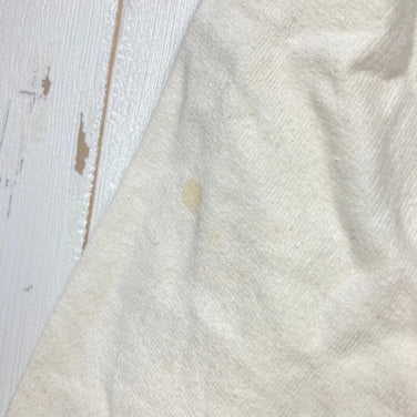 【Men's M アイボリー系】 2024 Patagonia ( パタゴニア ) ライトウェイト 73 テキスト ロゴ ワイルドライズ フーディ Lightweight '73 Text Logo Wildrise Fleece Hoody BCW オーガニックコッ