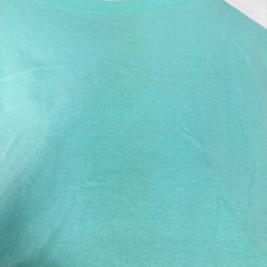 【Girl's M ブルー系】 2019 Patagonia ( パタゴニア ) グラフィック オーガニック ティーシャツ Graphic Organic T-Shirt FRRV オーガニックコットン ウェア トップス インナー シャツ ショートスリーブTシャツ