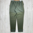 【Men's L グリーン系】 2024 Patagonia ( パタゴニア ) R2 テックフェイス パンツ R2 TechFace Pants PNGR ポリエステル ウェア ボトムス ロングパンツ フリース z00058916 PNGR フリース ロングパンツ-7