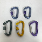 【OneSize イエロー系】 Trango ( トランゴ ) ビレイデバイス・カラビナ12点セット ロッククライミングギア z00057255  ロッククライミングギア