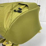 2025 Patagonia Ascensionist Climbing Pack 35L (GRZG) - Medium Green. Nylon storage backpack with a capacity of 30L-54L.