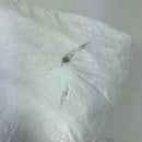 【OneSize ホワイト系】 Gossamer Gear ( ゴッサマーギア ) スナック サック Snack Sack バッグ ストレージ パッキングサック スタッフサック インナーポーチ Tyvek ( タイベック ) z00058188  スタッフサック イ-5