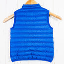 【Kid's 3T ブルー系】 2013 Patagonia ( パタゴニア ) ダウン セーター ベスト Down Sweater Vest VIK ダウン ウェア トップス ベスト ダウンインサレーション z00052888 VIK ダウンインサレーション ベス-2