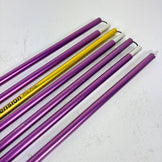 【OneSize パープル系】 Ascension（アセンション） 3 メーター プローブ 3 Meter Probe ウィンターギア プローブ ゾンデ棒 z00058426  プローブ ゾンデ棒 ウィンターギア
