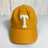 The North Face TNF Logo Flannel Cap (SG/Summit Gold) in Orange (One Size) - Wool, Apparel, Accessories, Headwear, Cap (z0005)