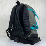 【OneSize グリーン系】 2010 Gregory ( グレゴリー ) デイ アンド ハーフ パック Day and a Half Pack 生産終了モデル 入手困難 旧タグ 銀タグ 旧タグ ナイロン バッグ ストレージ バックパック 容量【30L～54L】