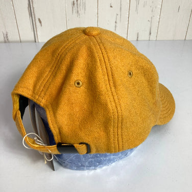 The North Face TNF Logo Flannel Cap (SG/Summit Gold) in Orange (One Size) - Wool, Apparel, Accessories, Headwear, Cap (z0005)