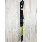 【OneSize グリーン系】 Helinox ( ヘリノックス ) パスポート FL 120 Passport FL 120 アルミニウム FL120 Melon トレッキングポール ポール ストック - 【公式】2ndGEAR（セカンドギア）Webショップ【登山用品・アウトドア用品専門 買取販売店】