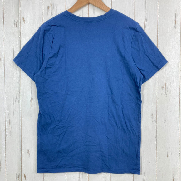 【Women's S ブルー系】 2020 Patagonia ( パタゴニア ) パステル P-6 ロゴ オーガニック クルー Tシャツ Pastel P-6 Logo Organic Crew T-Shirt SNBL オーガニックコットン ウェア トップス イン