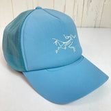 Arcteryx Bird Tracker 弧形帽（均码，蓝色） - 难以找到 - 服装、配饰、头饰、帽子 (z00053151)