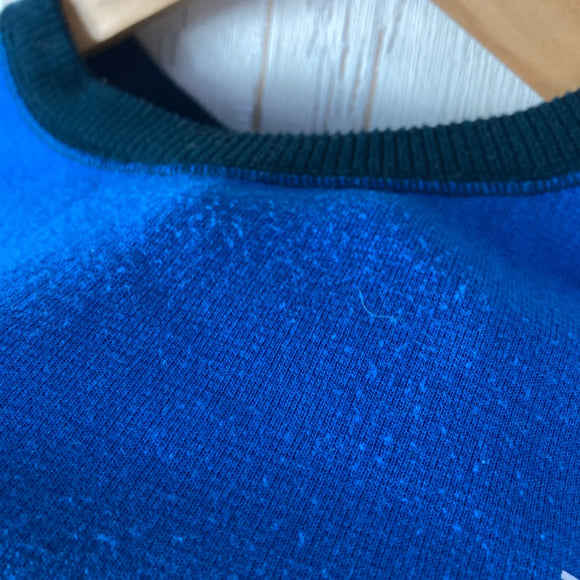 【Men's M ブルー系】 The North Face ( ザ・ノースフェイス ) ロング スリーブ ダクロン キュー ディー クルー L/S DACRONQD CREW ポリエステル ウェア トップス アウター ジャケット フリース z00054266  フ