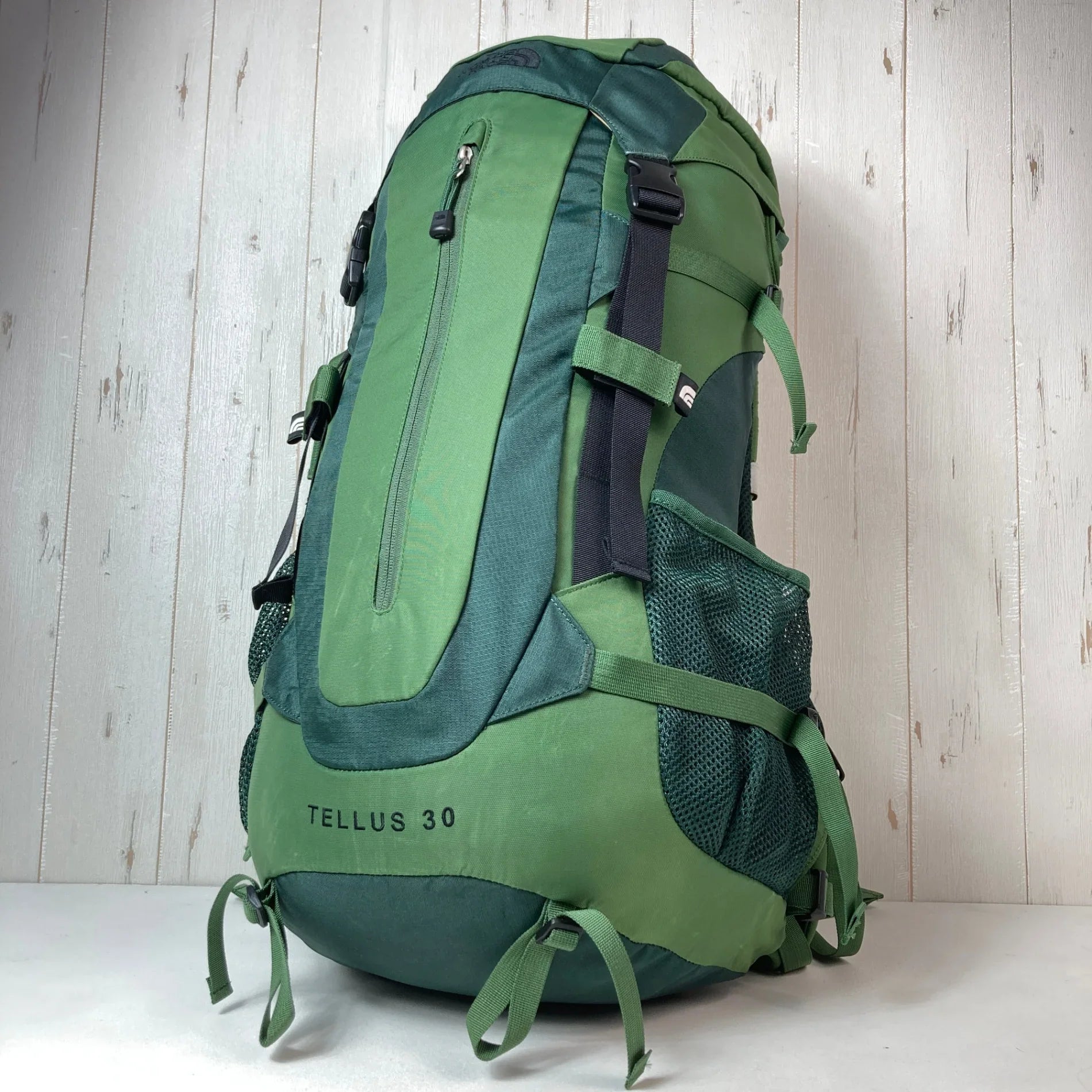 L グリーン系】 The North Face ( ザ・ノースフェイス ) テルス 30