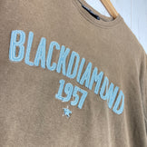 【Men's L ブラウン系】 Black Diamond ( ブラックダイヤモンド ) コットン ショートスリーブ ティー Cotton Short Sleeve Tee 生産終了モデル 入手困難 コットン ウェア トップス インナー シャツ ショートスリーブTシ