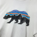 【Men's S ホワイト系】 2017 Patagonia ( パタゴニア ) キャプリーン デイリー グラフィック Tシャツ Capilene Daily Graphic T-Shirt 吸湿発散 防臭 UPF50+ ストレッチ ポリエステル ウェア トップス-7