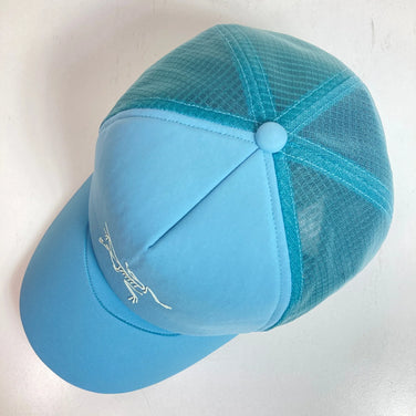 Arcteryx Bird Tracker 弧形帽（均码，蓝色） - 难以找到 - 服装、配饰、头饰、帽子 (z00053151)