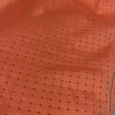 【Men's L オレンジ系】 The North Face ( ザ・ノースフェイス ) エクスペディション ドライ ドット ジップ ハイ Expedition Dry Dot Zip High ポリエステル ウェア トップス インナー シャツ ロングスリーブシャツ