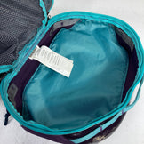 【OneSize パープル系】 2016 Patagonia ( パタゴニア ) ブラック ホール キューブ ミディアム Black Hole Cube Medium 6L TPUラミネート リップストップ ポリエステル バッグ ストレージ パッキングサック スタッ
