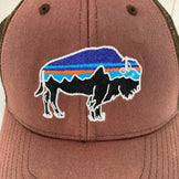 【OneSize ブラウン系】 Patagonia ( パタゴニア ) フィッツ ロイ バイソン ロープロ トラッカー ハット Fitz Roy Bison Lopro Trucker Hat オーガニックコットン ウェア ウェア小物 ヘッドウェア キャップ z00