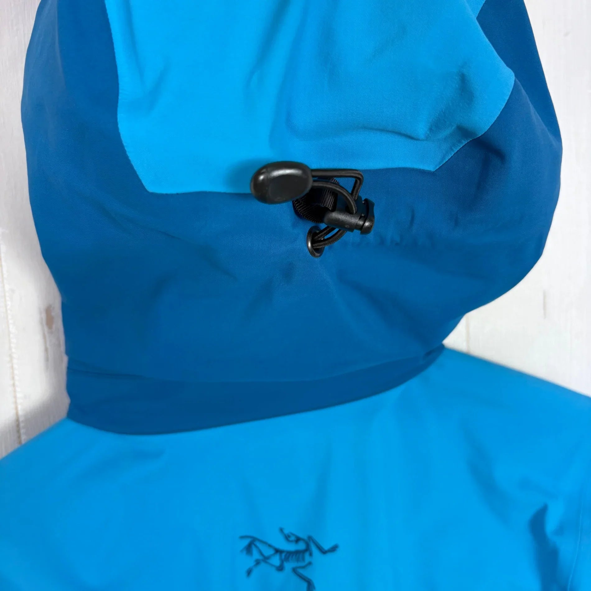Women's XS ブルー系】 Arcteryx ( アークテリクス ) スティングレイ