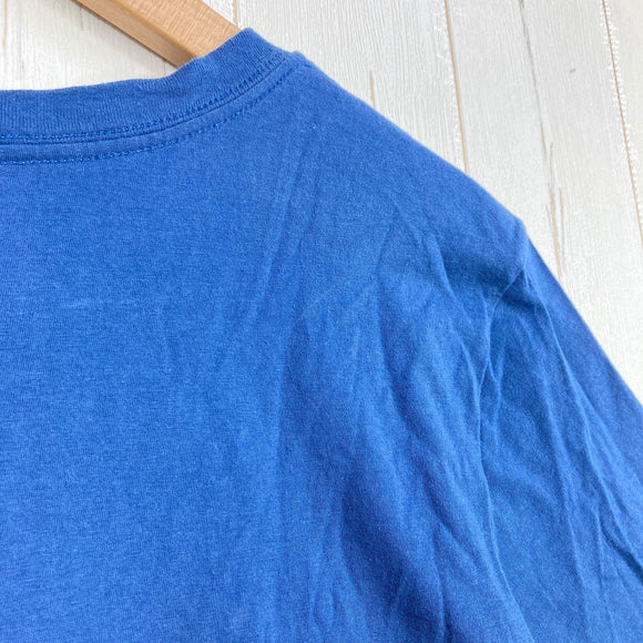 【Women's S ブルー系】 2020 Patagonia ( パタゴニア ) パステル P-6 ロゴ オーガニック クルー Tシャツ Pastel P-6 Logo Organic Crew T-Shirt SNBL オーガニックコットン ウェア トップス イン