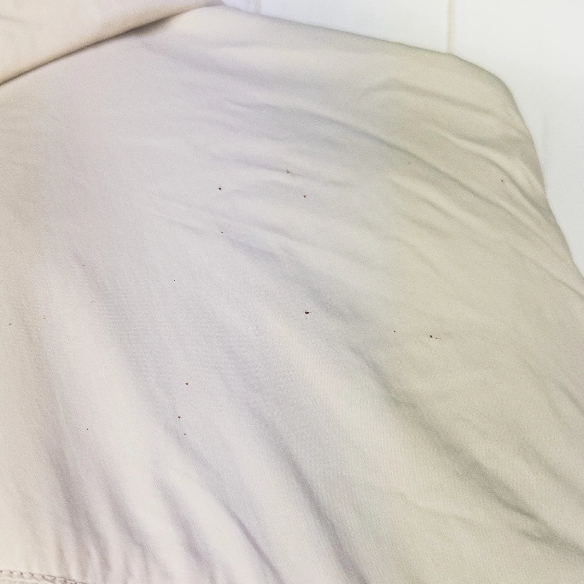 【Women's M アイボリー系】 Montbell ( モンベル ) ライトシェル パーカ Light Shell Parka ナイロン ウェア トップス アウター ジャケット ウィンドシェル z00052684 ウィンドシェル アウター ジャケット トップス ウェ - 【公式】2ndGEAR（セカンドギア）Webショップ【登山用品・アウトドア用品専門 買取販売店】