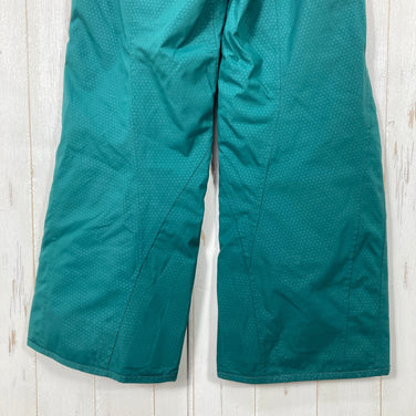 【Men's XS グリーン系】 Phenix ( フェニックス ) デモ チーム パンツ Demo Team Pants スキーパンツ ポリエステル ウェア ボトムス ロングパンツ ハードシェル z00059174  ハードシェル ロングパンツ ボトムス ウェア