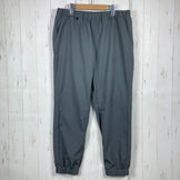 Bring DRYCOTTONY Lightweight Jogger Pants, Unisex L-Short, Gray. Polyester. Long pants. z00056521.