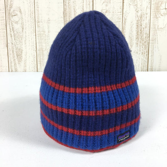 パタゴニア 2010 スピードウェイ ビーニー Speedway Beanie メリノウール 生産終了モデル 入手困難 PATAGONIA 29120 SAY ブルー系