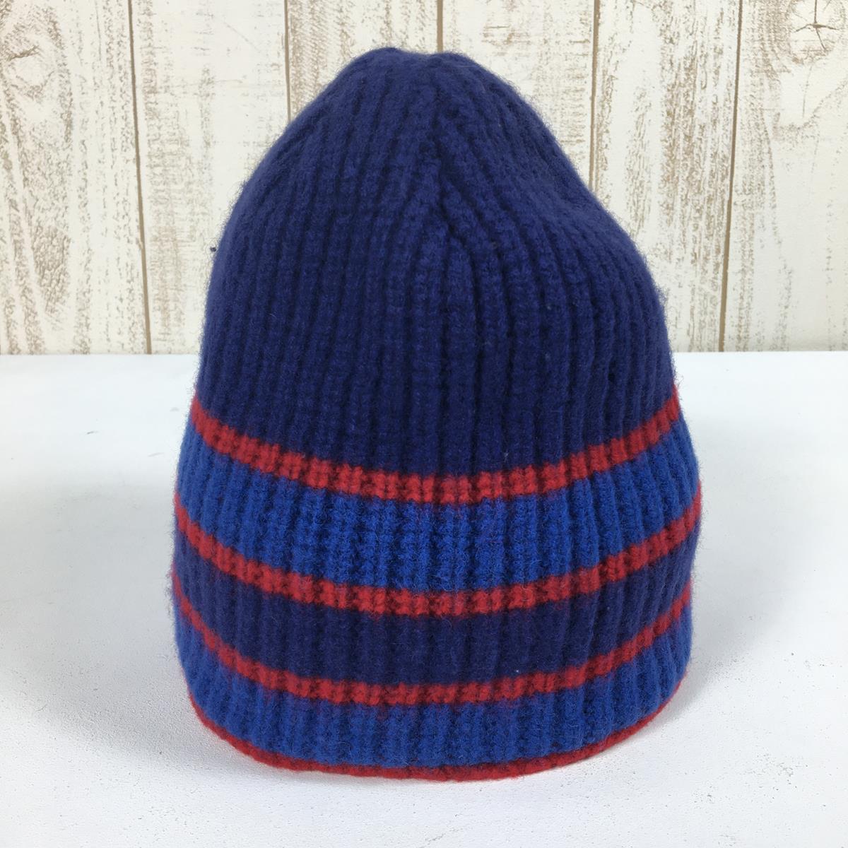 パタゴニア 2010 スピードウェイ ビーニー Speedway Beanie メリノウール 生産終了モデル 入手困難 PATAGONIA 29120 SAY ブルー系