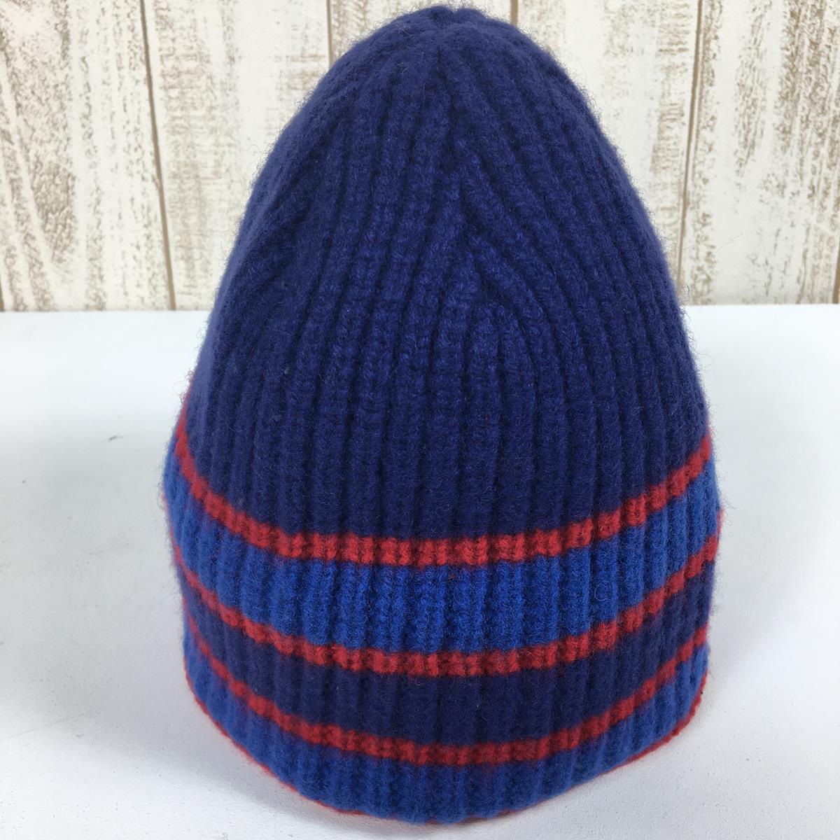 パタゴニア 2010 スピードウェイ ビーニー Speedway Beanie メリノウール 生産終了モデル 入手困難 PATAGONIA 29120 SAY ブルー系