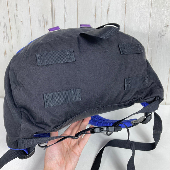 【OneSize ブルー系】 Gregory ( グレゴリー ) デイパック ブルー レター Day Pack Blue Letter 復刻モデル 青タグ 旧タグ 生産終了モデル 入手困難 40周年記念モデル ナイロン バッグ ストレージ バックパック デイパック