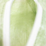 【OneSize グリーン系】 Croster Dragon（クロスタードラゴン） CTF エクスパンドポーチ L CTF EXPAND POUCH L バッグ ストレージ パッキングサック スタッフサック インナーポーチ DCF ( ダイニーマ・コンポジット・ファ - 【公式】2ndGEAR（セカンドギア）Webショップ【登山用品・アウトドア用品専門 買取販売店】